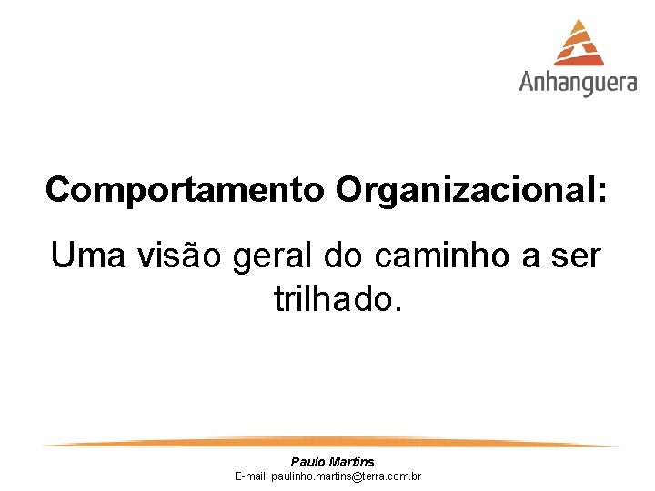 Comportamento Organizacional: Uma visão geral do caminho a ser trilhado. Paulo Martins E-mail: paulinho.