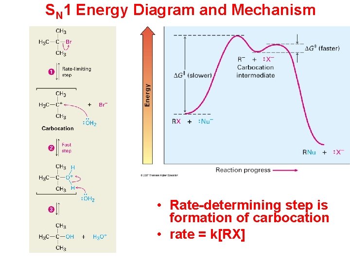 SN 1 Energy Diagram and Mechanism • Rate-determining step is formation of carbocation •