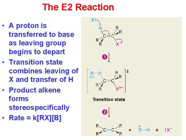 The E 2 Reaction • A proton is transferred to base as leaving group