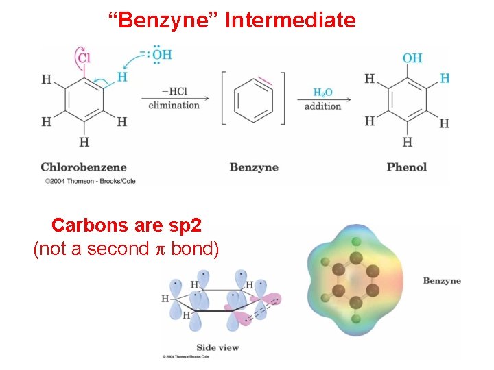 “Benzyne” Intermediate Carbons are sp 2 (not a second p bond) 