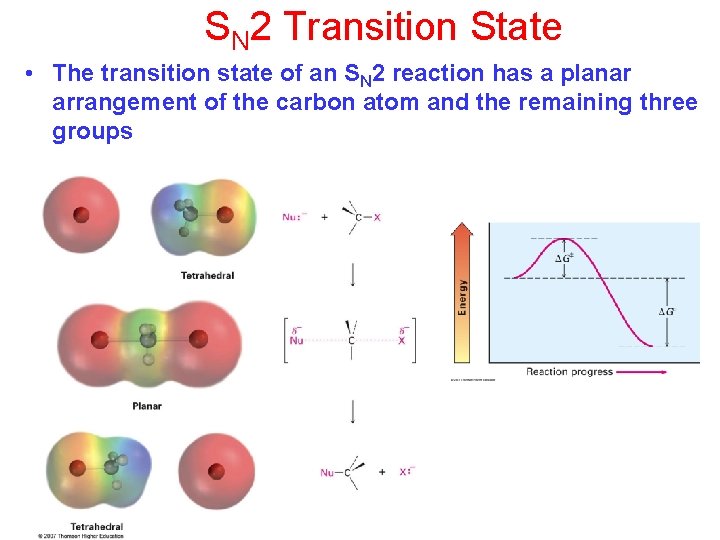 SN 2 Transition State • The transition state of an SN 2 reaction has