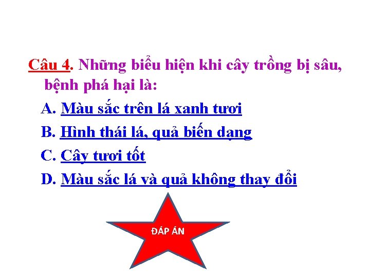 Câu 4. Những biểu hiện khi cây trồng bị sâu, bệnh phá hại là: