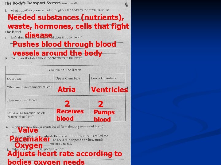 Needed substances (nutrients), waste, hormones, cells that fight disease Pushes blood through blood vessels