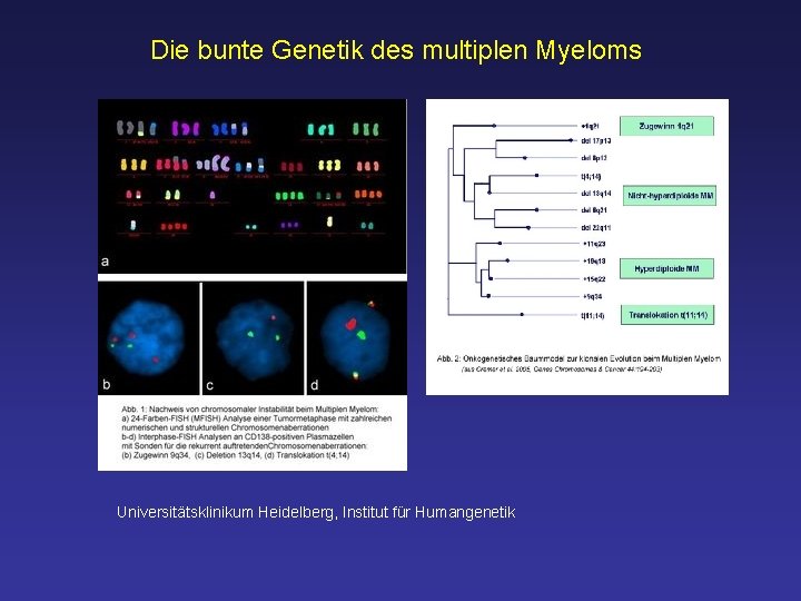 Die bunte Genetik des multiplen Myeloms Universitätsklinikum Heidelberg, Institut für Humangenetik 
