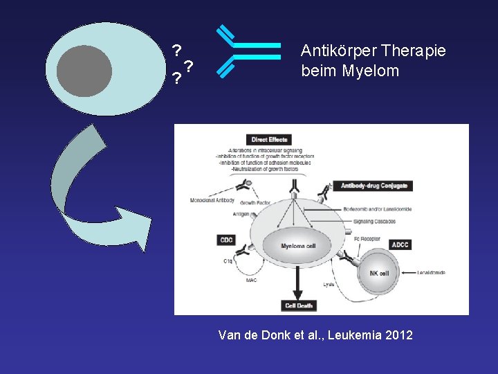 ? ? ? Antikörper Therapie beim Myelom Van de Donk et al. , Leukemia