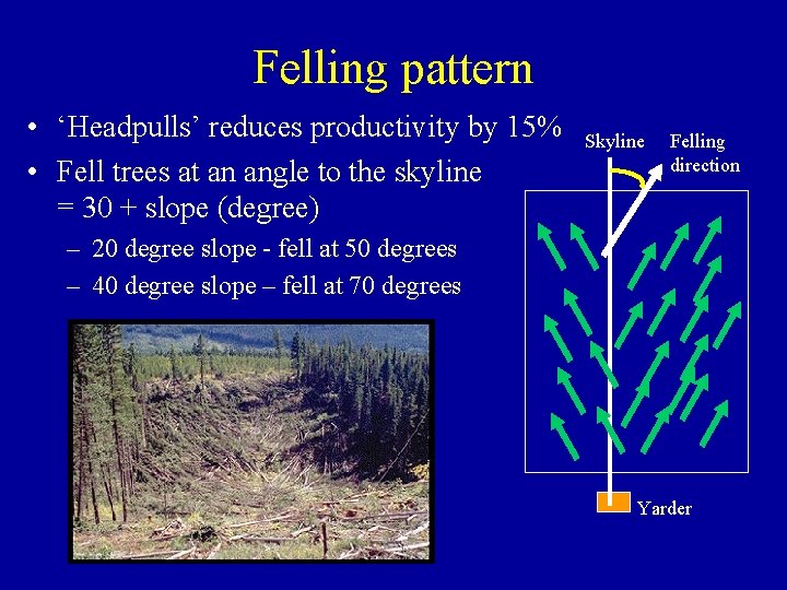 Felling pattern • ‘Headpulls’ reduces productivity by 15% • Fell trees at an angle