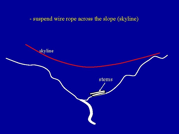 - suspend wire rope across the slope (skyline) skyline stems 