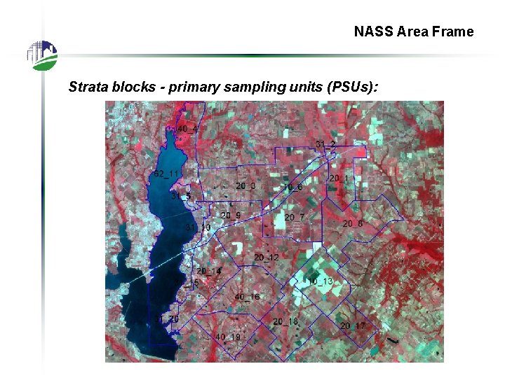 NASS Area Frame Strata blocks - primary sampling units (PSUs): 