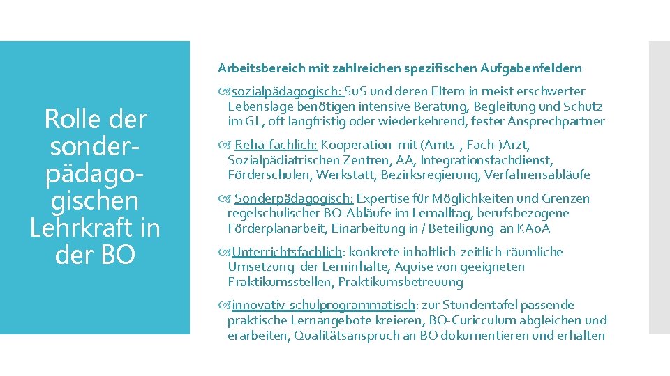 Arbeitsbereich mit zahlreichen spezifischen Aufgabenfeldern Rolle der sonderpädagogischen Lehrkraft in der BO sozialpädagogisch: Su.