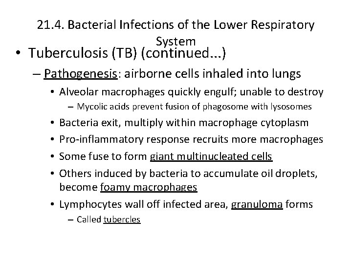 21. 4. Bacterial Infections of the Lower Respiratory System • Tuberculosis (TB) (continued. .