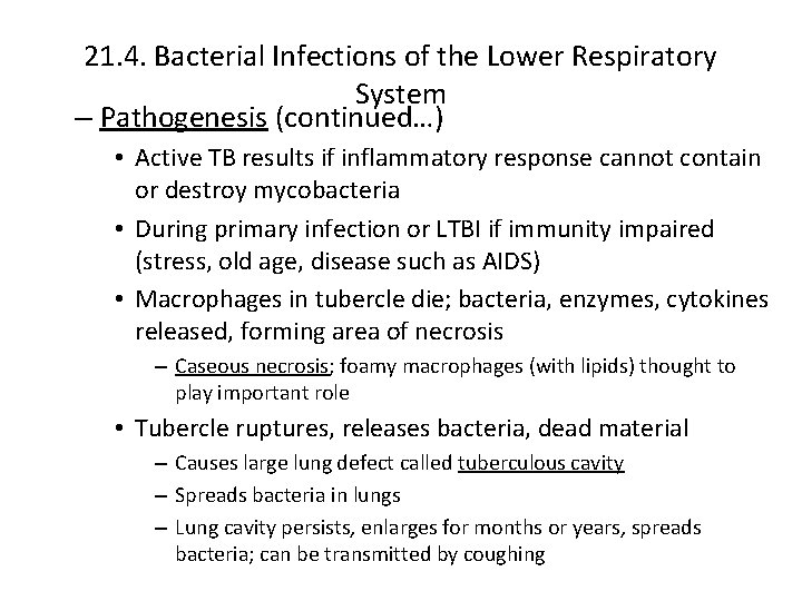 21. 4. Bacterial Infections of the Lower Respiratory System – Pathogenesis (continued…) • Active
