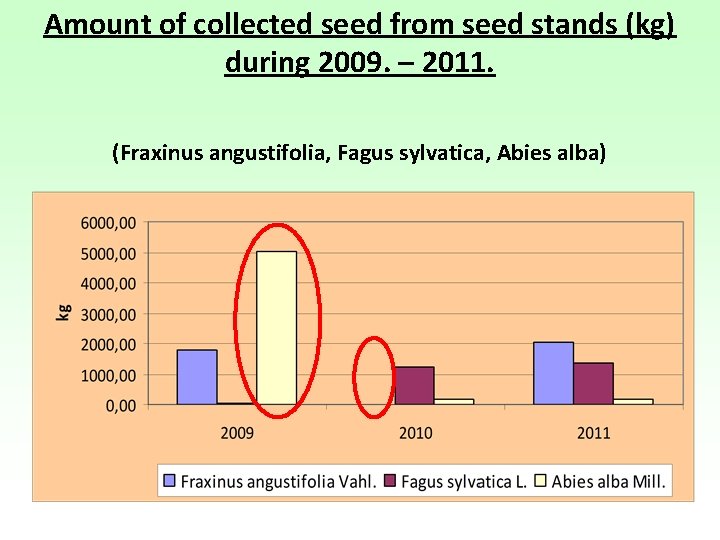 Amount of collected seed from seed stands (kg) during 2009. – 2011. (Fraxinus angustifolia,