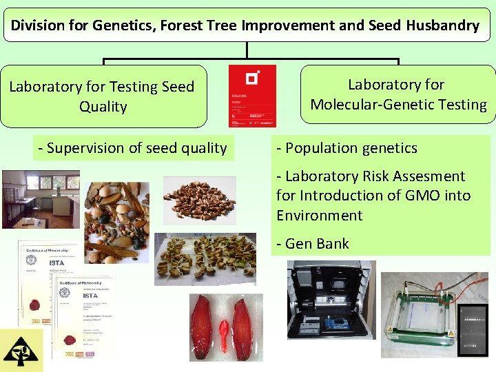 Division for Genetics, Forest Tree Improvement and Seed Husbandry Laboratory for Testing Seed Quality