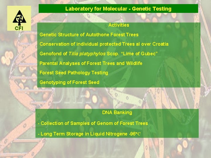 Laboratory for Molecular - Genetic Testing Activities CFI Genetic Structure of Autothone Forest Trees