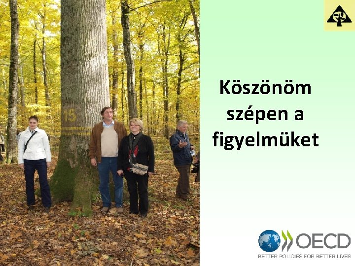 Köszönöm szépen a figyelmüket 