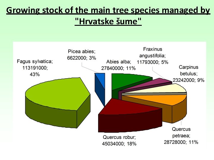 Growing stock of the main tree species managed by "Hrvatske šume" 