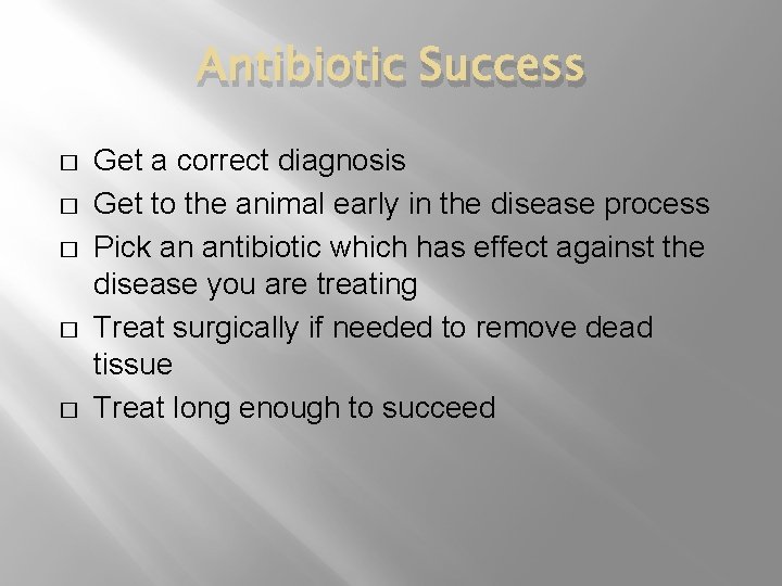 Antibiotic Success � � � Get a correct diagnosis Get to the animal early