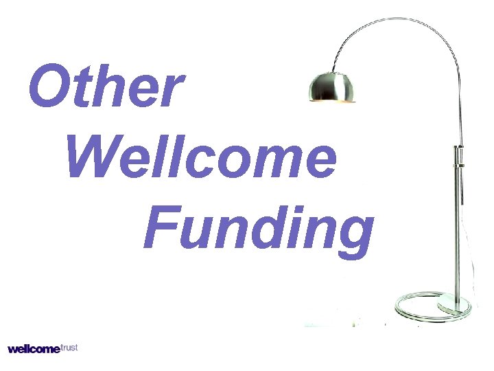 Other Wellcome Funding Other Wellcome Funding