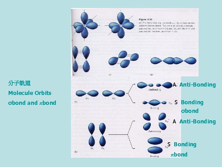 分子軌道 A Anti-Bonding Molecule Orbits σbond and πbond S Bonding σbond A Anti-Bonding S