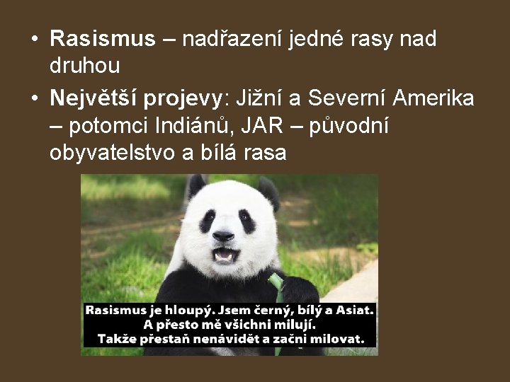  • Rasismus – nadřazení jedné rasy nad druhou • Největší projevy: Jižní a