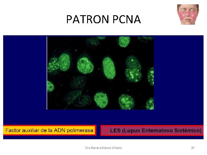 PATRON PCNA Dra Roxana Blanco Villarte 37 