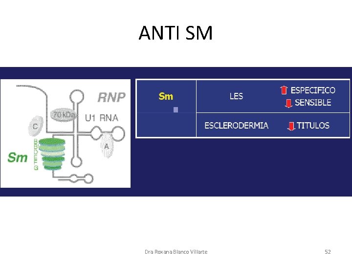 ANTI SM Dra Roxana Blanco Villarte 52 