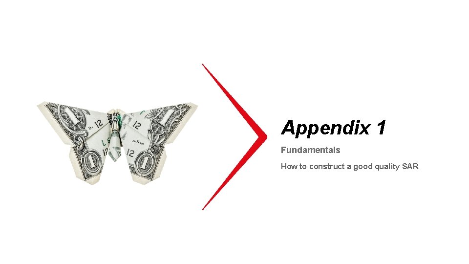 Appendix 1 Fundamentals How to construct a good quality SAR 
