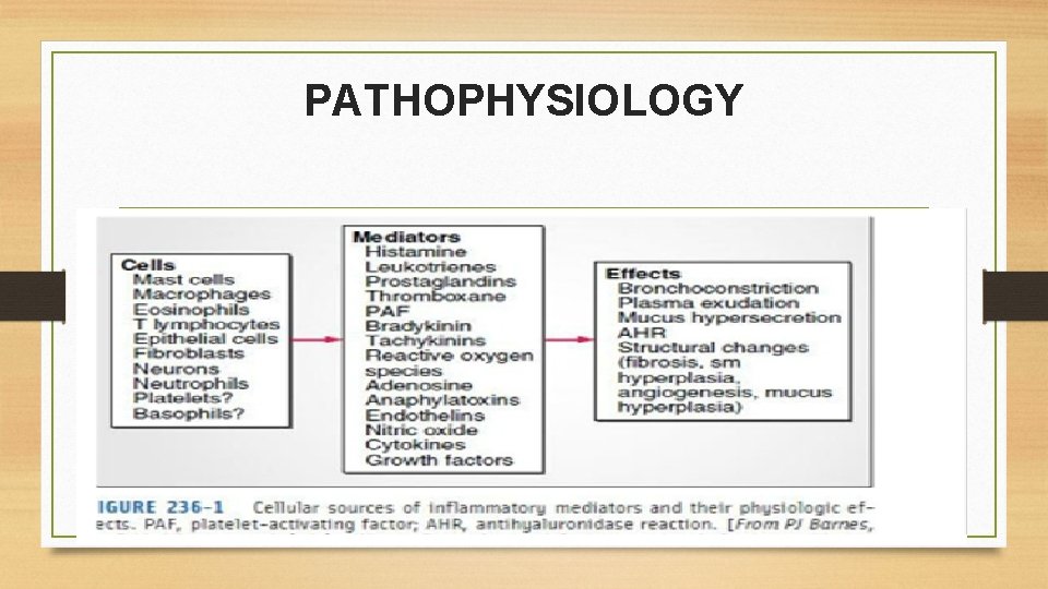 PATHOPHYSIOLOGY 