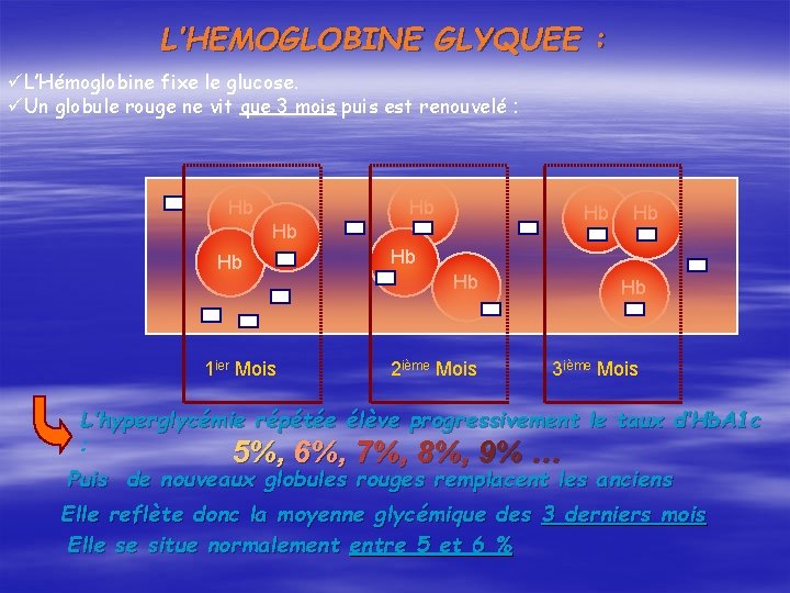 L’HEMOGLOBINE GLYQUEE : üL’Hémoglobine fixe le glucose. üUn globule rouge ne vit que 3