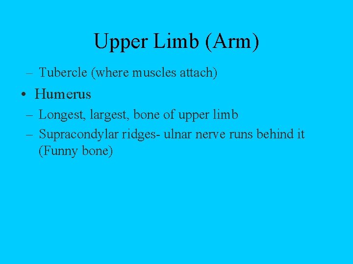 Upper Limb (Arm) – Tubercle (where muscles attach) • Humerus – Longest, largest, bone
