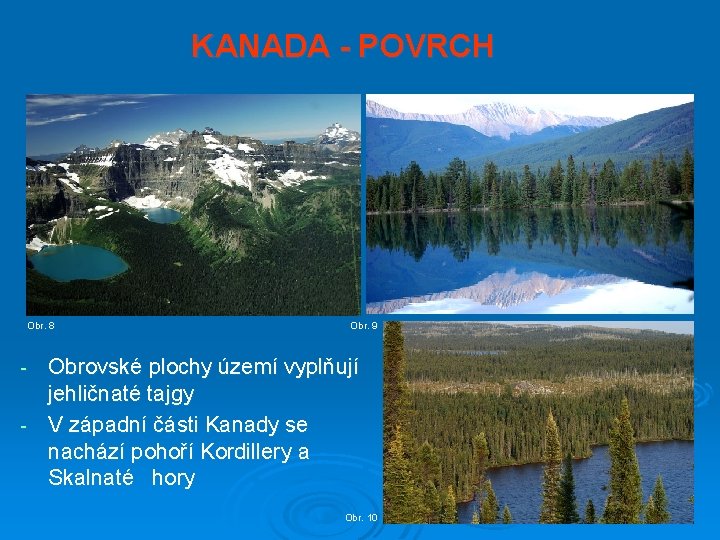 KANADA - POVRCH Obr. 8 Obr. 9 Obrovské plochy území vyplňují jehličnaté tajgy -