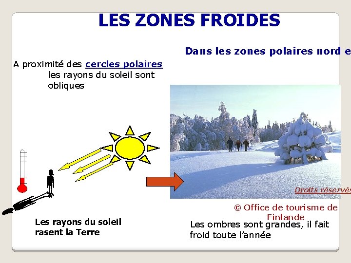 LES ZONES FROIDES Dans les zones polaires nord e A proximité des cercles polaires
