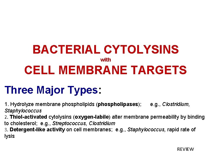 BACTERIAL CYTOLYSINS with CELL MEMBRANE TARGETS Three Major Types: 1. Hydrolyze membrane phospholipids (phospholipases);