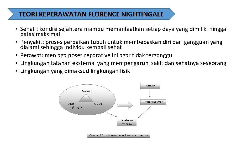 TEORI KEPERAWATAN FLORENCE NIGHTINGALE • Sehat : kondisi sejahtera mampu memanfaatkan setiap daya yang