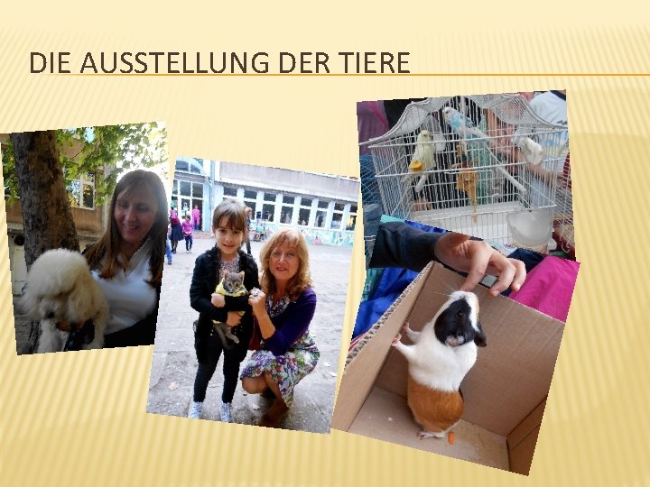 DIE AUSSTELLUNG DER TIERE 