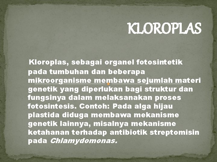 KLOROPLAS Kloroplas, sebagai organel fotosintetik pada tumbuhan dan beberapa mikroorganisme membawa sejumlah materi genetik