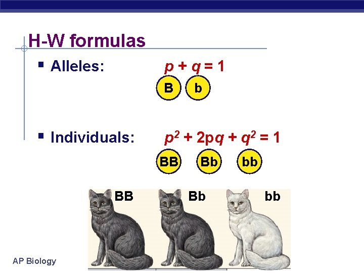 H-W formulas § Alleles: p+q=1 B § Individuals: p 2 + 2 pq +