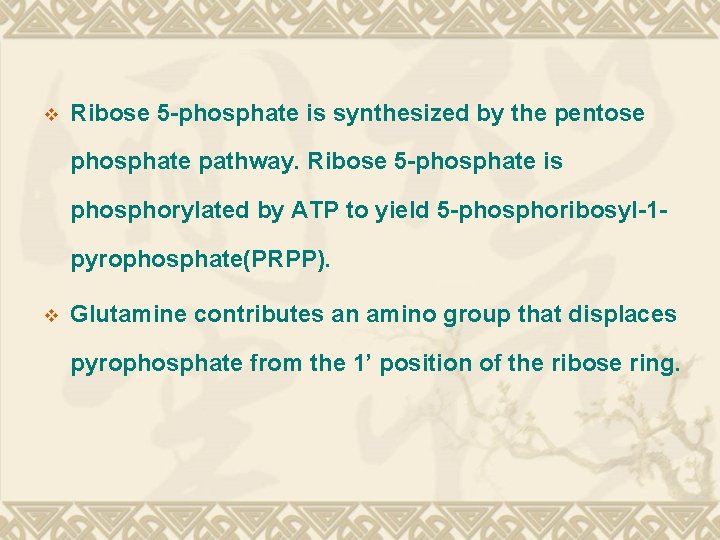 v Ribose 5 -phosphate is synthesized by the pentose phosphate pathway. Ribose 5 -phosphate