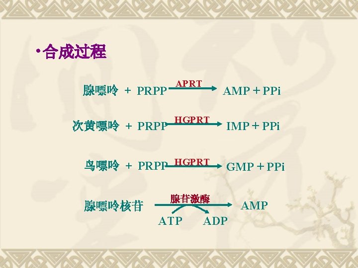  • 合成过程 腺嘌呤 + PRPP 次黄嘌呤 + PRPP APRT AMP + PPi HGPRT