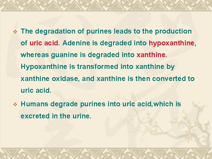 v The degradation of purines leads to the production of uric acid. Adenine is