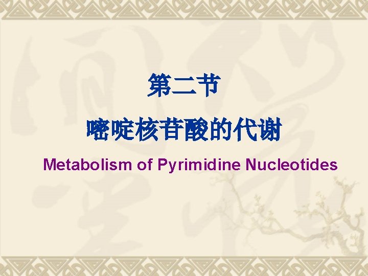 第二节 嘧啶核苷酸的代谢 Metabolism of Pyrimidine Nucleotides 