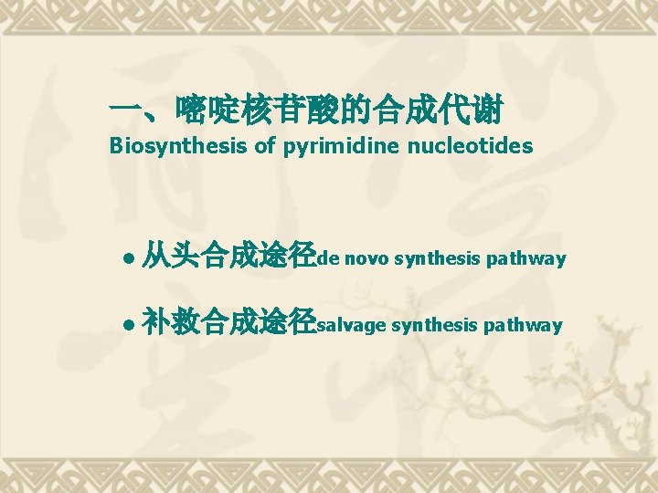 一、嘧啶核苷酸的合成代谢 Biosynthesis of pyrimidine nucleotides l 从头合成途径de novo synthesis pathway l 补救合成途径salvage synthesis pathway