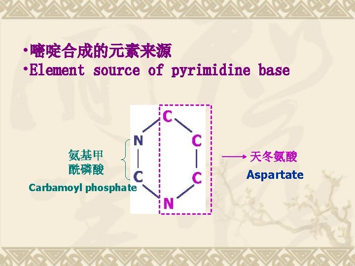  • 嘧啶合成的元素来源 • Element source of pyrimidine base 氨基甲 酰磷酸 Carbamoyl phosphate 天冬氨酸
