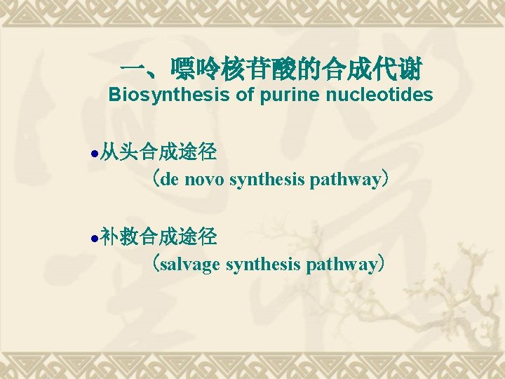 一、嘌呤核苷酸的合成代谢 Biosynthesis of purine nucleotides l 从头合成途径 (de novo synthesis pathway) l 补救合成途径 (salvage