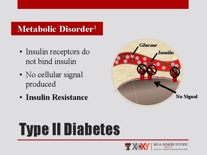 Metabolic Disorder 1 • Insulin receptors do not bind insulin GIucose Insulin • No