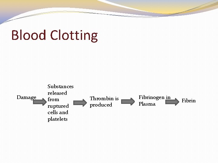 Blood Clotting Damage Substances released from ruptured cells and platelets Thrombin is produced Fibrinogen