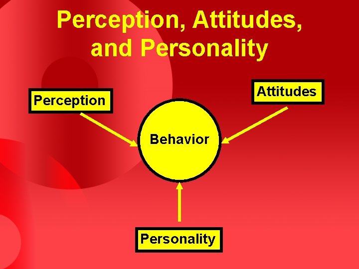 Perception, Attitudes, and Personality Attitudes Perception Behavior Personality 