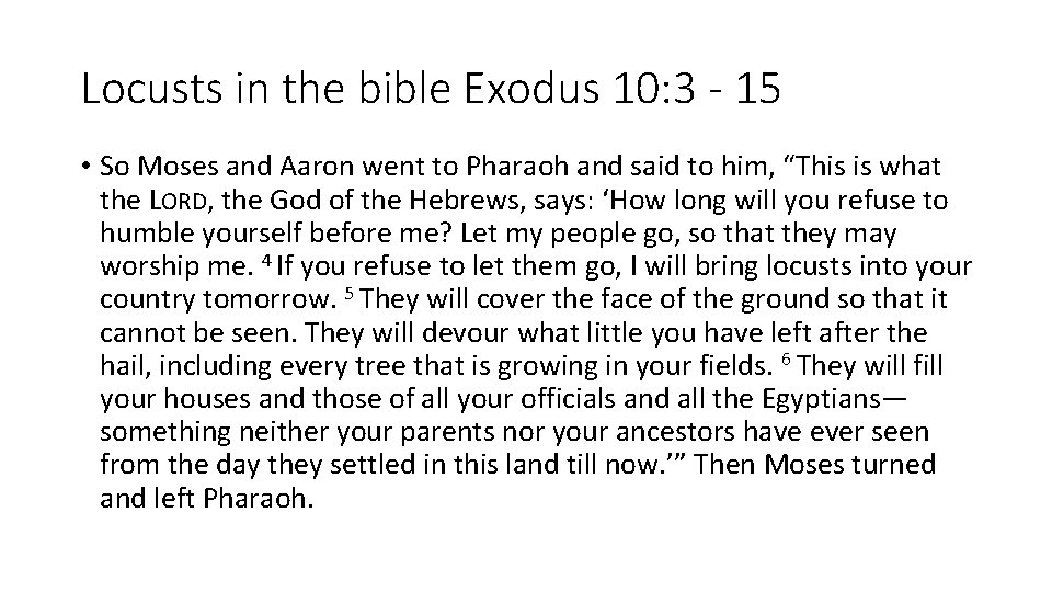 Locusts in the bible Exodus 10: 3 - 15 • So Moses and Aaron