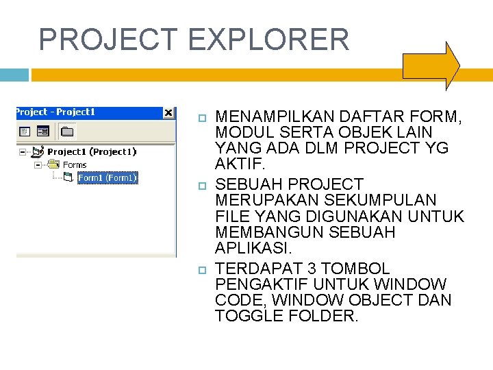 PROJECT EXPLORER MENAMPILKAN DAFTAR FORM, MODUL SERTA OBJEK LAIN YANG ADA DLM PROJECT YG