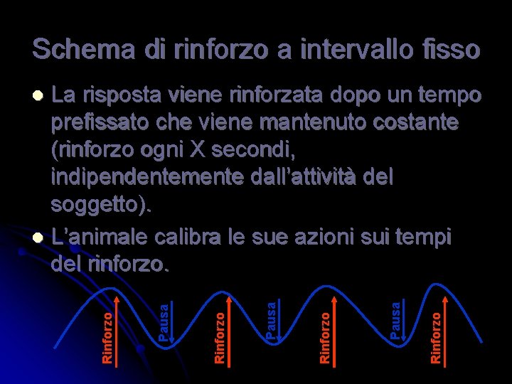 Schema di rinforzo a intervallo fisso La risposta viene rinforzata dopo un tempo prefissato